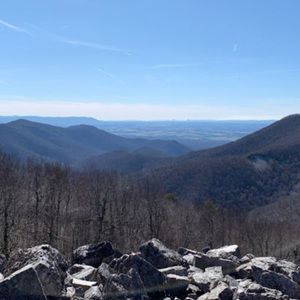 Meet your Posher, Ben